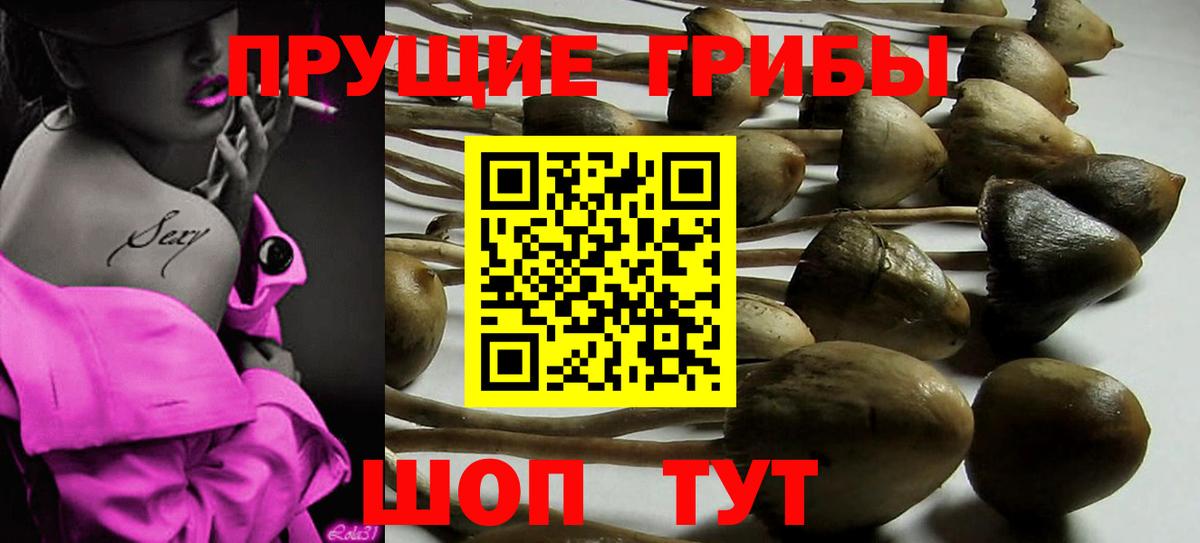 Галлюциногенные грибы Cubensis  Вход с VPN  Спасск-Дальний 